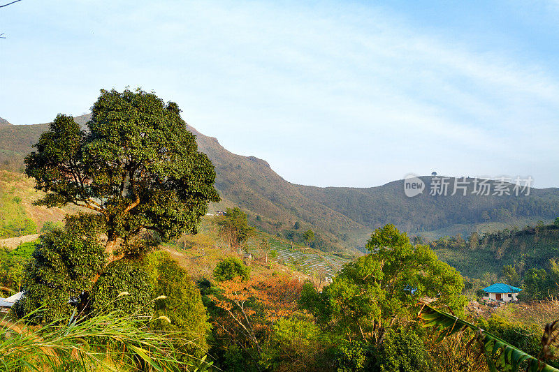 清莱省Doi Pha Tang附近的山脉和农场